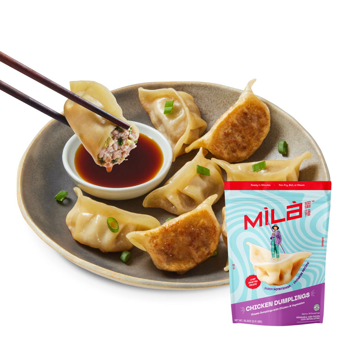 Bundles_item-potstickers-chicken.png